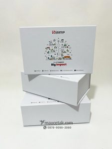 Hard Box Sinarmas