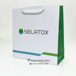 Cetak Paper Bag Selatox