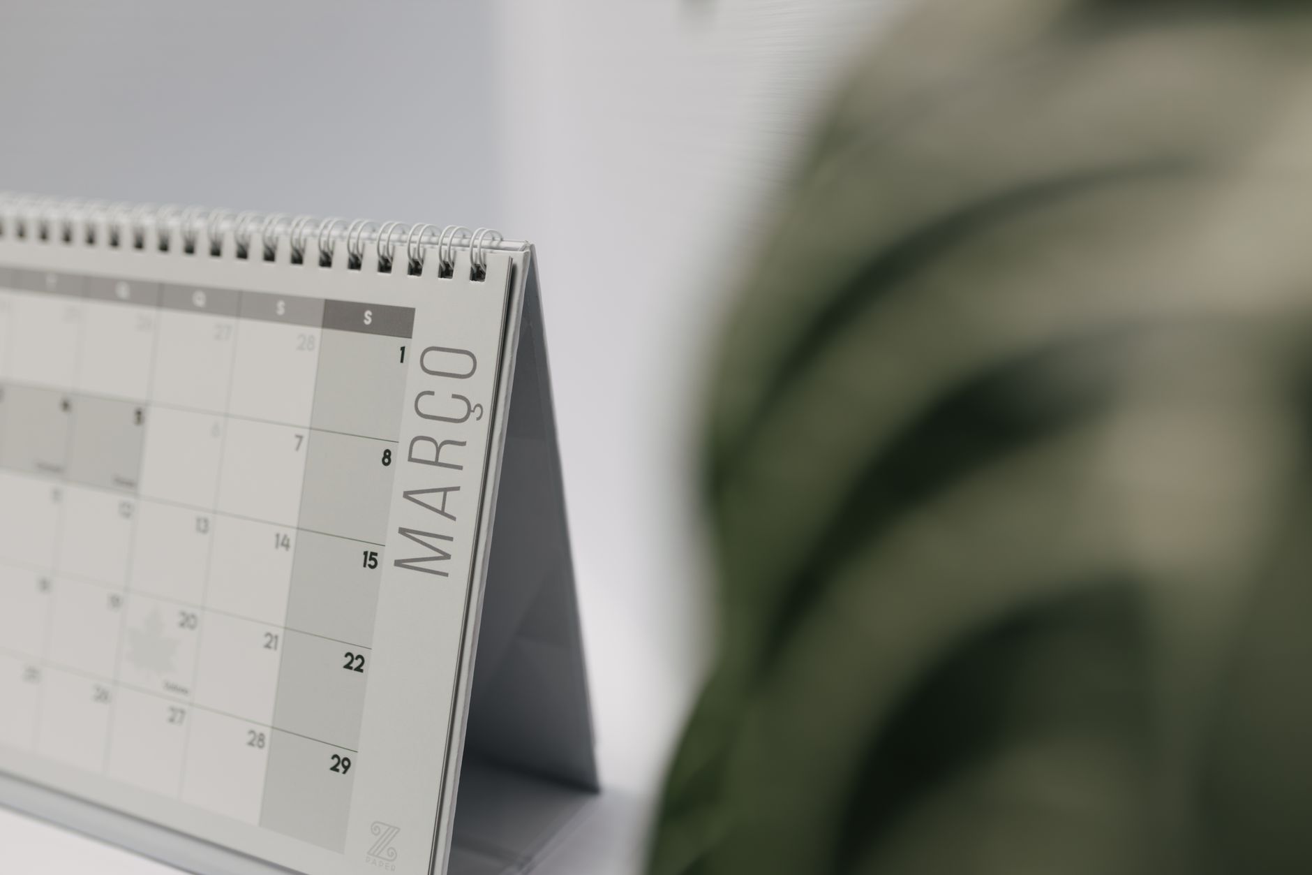 Mau Pesan Kalender Meja Unik? Intip Trik Hemat Biar Rapi
